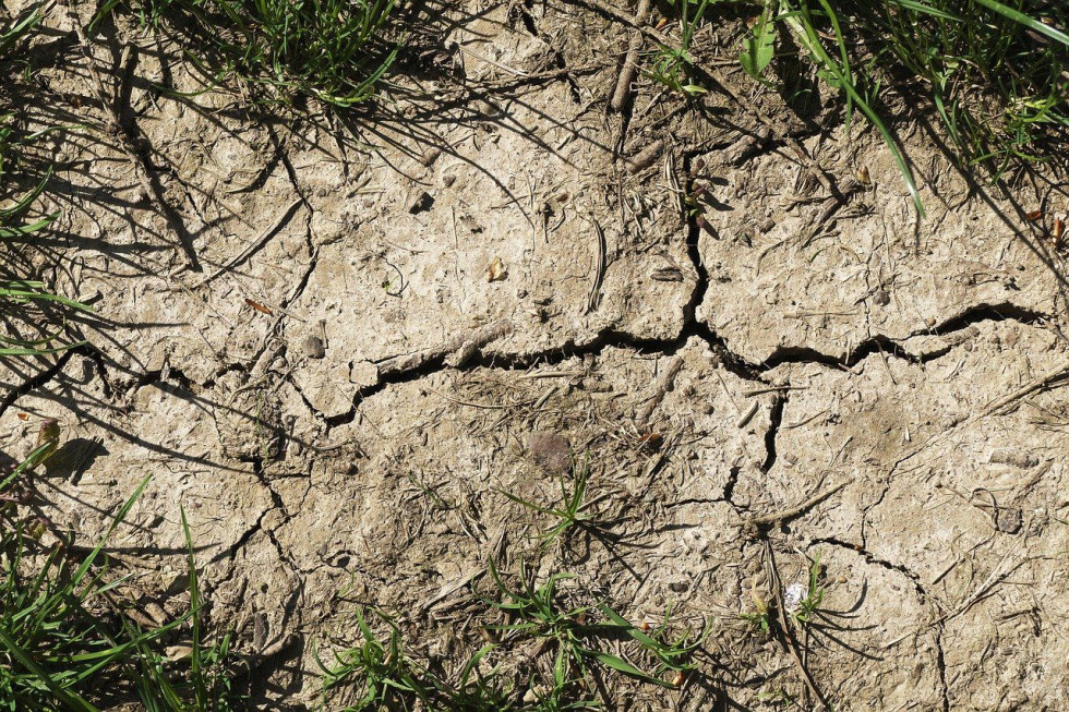 Kurtyka: potrzebne kompleksowe podejście do problemu suszy