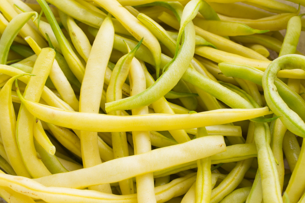 Bronisze: Pierwsza krajowa fasolka szparagowa spod osłon w cenie 50-60 zł/kg/ fot. shutterstock.com Na Bronisze trafiają pierwsze dostawy fasolki szparagowej spod osłon