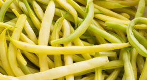 Ceny warzyw w Broniszach: fasolka szparagowa spod osłon nawet za 60 zł/kg