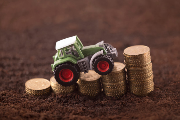 Do 29 maja ARiMR prowadzi nabór wniosków na restrukturyzację małego gospodarstwa/ fot. shutterstock.com ARiMR: Wnioski na restrukturyzację do końca maja