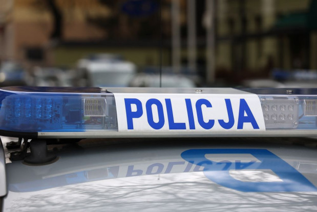 Zaledwie kilkanaście godzin trwały poszukiwania skradzionego jabłka, a sprawcy usłyszeli już zarzuty/ fot. shutterstock Łosice: Policja odzyskała skradzione ozdobne jabłko