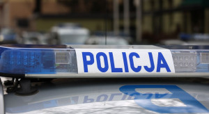 Łosice: Policja odzyskała skradzione ozdobne jabłko