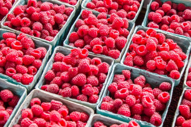 Drogie importowane maliny - ten sezon będzie drogi?/ fot. unsplash Ponad 100 zł za kg malin - to zapowiedź drogiego sezonu?