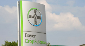 Pozew Bayera przeciwko zakazowi stosowania neonikotynoidów oddalony