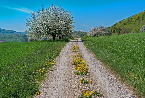 W środę nadal będzie pogodnie i / fot. pixabay W środę ciepło; na południowym zachodzie możliwe przelotne opady i burze