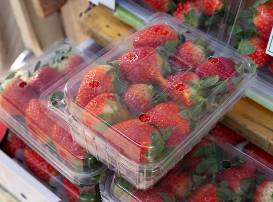 Jakie ceny malin i truskawek w Lidlu?; fot. shutterstock.com Lidl: polskie truskawki po 24 zł/kg