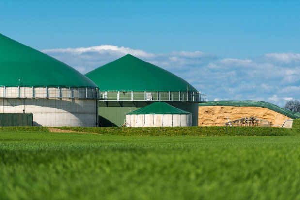 Biogazownia wykorzysta m.in. resztki warzyw i owoców pochodzące z produkcji soków/ fot. shutterstock Lubelskie: W Turowcu powstanie biogazownia wykorzystująca surowce rolnicze