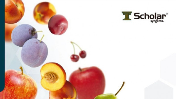 Scholar to nowy fungicyd, produkowany przez Syngenta i dystrybuowany przez AgroFresh/ fot. materiały prasowe Nowy fungicyd dla owoców ziarnkowych i pestkowych