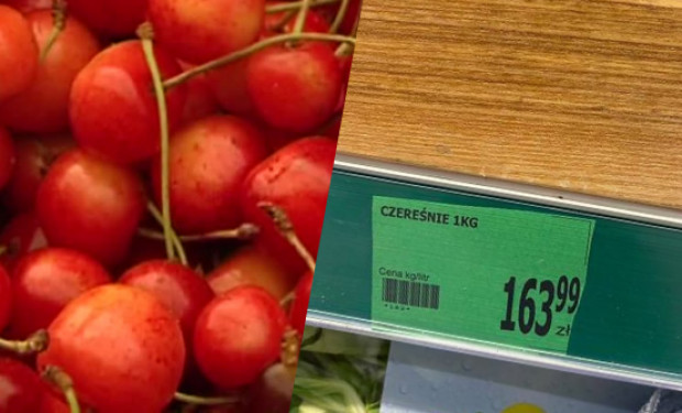 Aż 163 zł kosztuje kilogram czereśni w jednym ze sklepów w miejscowości Wilkszyn pod Wrocławiem /fot. za DDTVN Horrendalna cena czereśni w Polsce- ponad 163 zł za kilogram