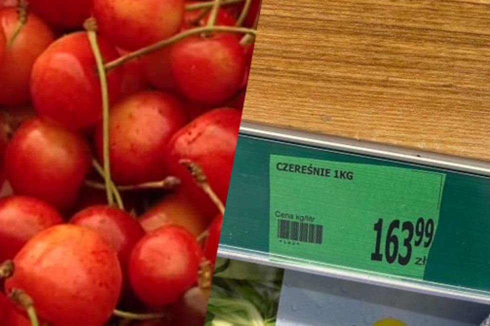 Aż 163 zł kosztuje kilogram czereśni w jednym ze sklepów w miejscowości Wilkszyn pod Wrocławiem /fot. za DDTVN Horrendalna cena czereśni w Polsce- ponad 163 zł za kilogram