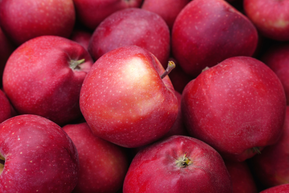 Indie potencjalnym odbiorcą mołdawskich jabłek