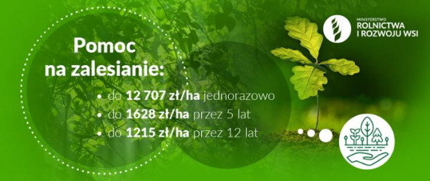 1 czerwca rusza nabór wniosków o przyznanie wsparcia na zalesienie Pomoc na zalesianie: 1 czerwca rusza nabór wniosków w ARiMR
