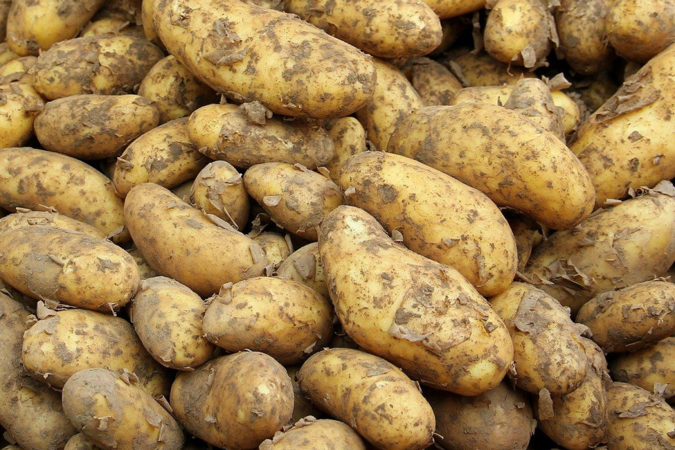 Bronisze: Ceny krajowych warzyw wysokie. Młode ziemniaki po 12 zł/kg