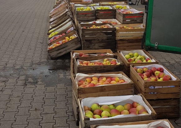 Sprzedaż jabłek na Broniszach- jakie ceny i popyt?/ fot. materiały własne Sprzedaż jabłek na Broniszach - jakie ceny i popyt?