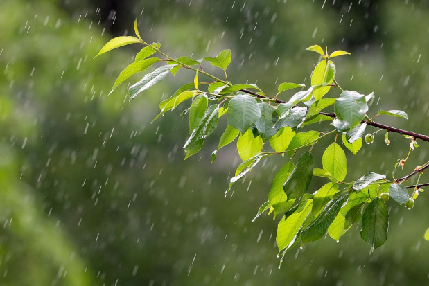 W czwartek wystąpią przelotne opady deszczu/ fot. pixabay IMGW: W czwartek przelotne opady; do 18 st. C