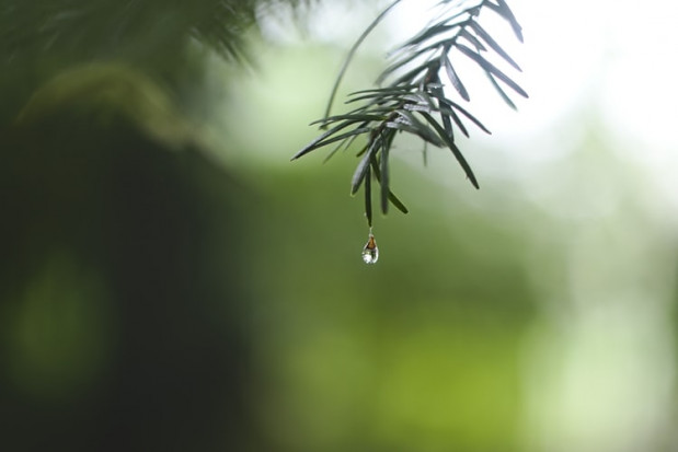 W piątek padać będzie przelotny deszcz/ fot. unsplash IMGW: piątek pochmurny, będą burze i przelotny deszcz