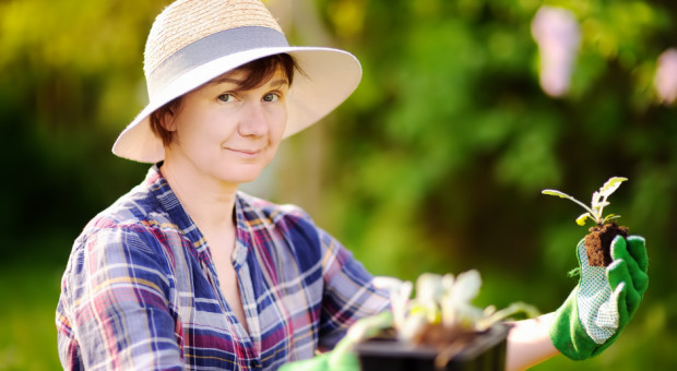 Projekt ustawy o kołach gospodyń wiejskich skierowany do III czytania; fot. shutterstock.com Zmiany w kołach gospodyń wiejskich. Projekt skierowany do III czytania