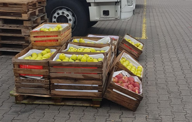 Niedziela na Broniszach: jak przebiega sprzedaż jabłek deserowych?/Fot. materiały własne Niedziela na Broniszach: jak przebiega sprzedaż jabłek deserowych?