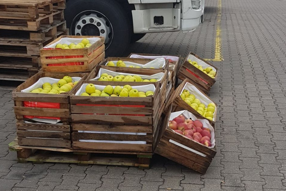 Niedziela na Broniszach: jak przebiega sprzedaż jabłek deserowych?