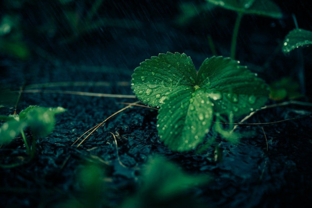 W środę będzie chłodno i deszczowo/ fot. pixabay IMGW: chłodna środa z przelotnymi opadami deszczu