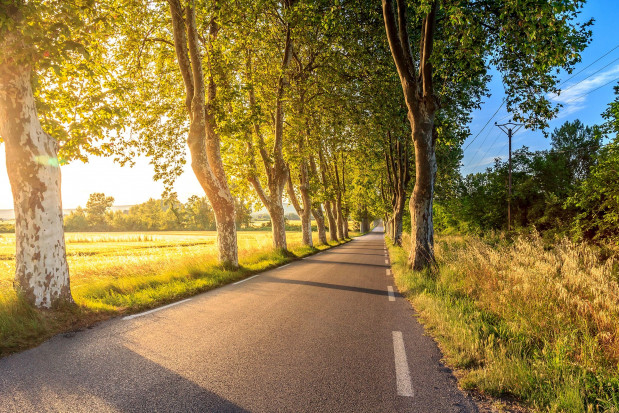 25 mln zł dotacji dla gmin na remonty dróg dojazdowych do pól uprawnych; fot. unsplash.com Małopolskie: są pieniądze na remonty dróg dojazdowych do pól uprawnych