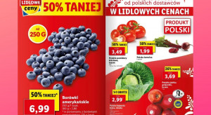 Lidl i Biedronka: jakie ceny borówek, malin, polskich jabłek i nowalijek?