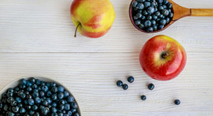 Core Team - współpraca producentów owoców jagodowych i jabłek