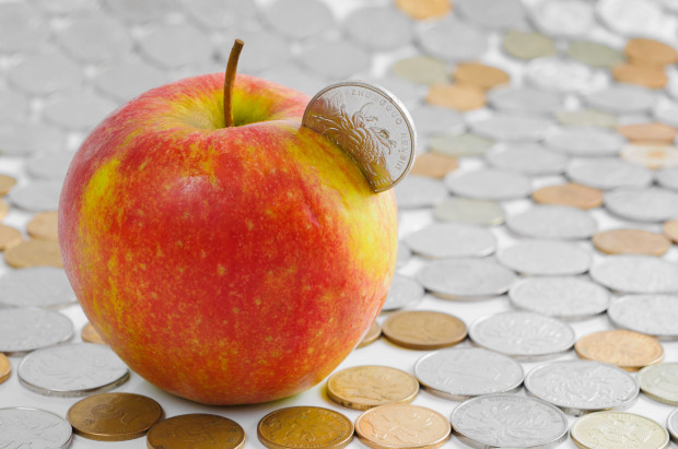 Sadownictwo coraz mniej się opłaca; fot. shutterstock.com Sądeccy sadownicy: coraz mniej opłaca się być producentem jabłek