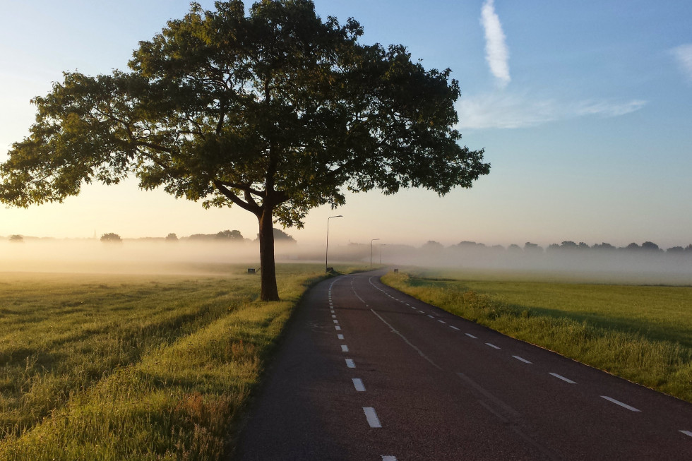 Są środki na budowę i modernizację dróg dojazdowych do gruntów rolnych; fot. unsplash.com Prawie 23 mln zł na drogi dojazdowe do pól w woj. łódzkim