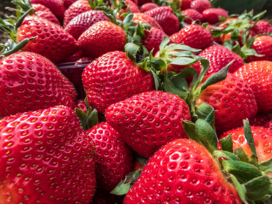 Ceny truskawek w Nowym Przybojewie drastycznie spadły/fot. shutterstock.com Ceny truskawek w Nowym Przybojewie drastycznie spadły