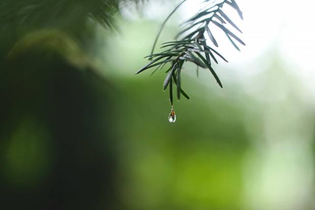 Prognoza pogody na 5 czerwca; fot. unsplash.com Pogoda na 5 czerwca: przelotne deszcze, a na północy burze