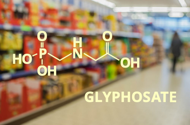 Glifosat i jego wpływ na zdrowie; fot. shutterstock.com Jak glifosat wpływa na mikroflorę jelitową?