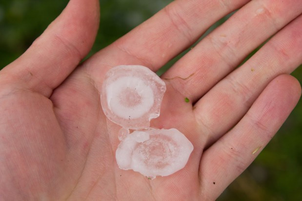 Gradobicie w Małopolsce; fot. shutterstock.com Małopolskie: grad zniszczył uprawy warzyw