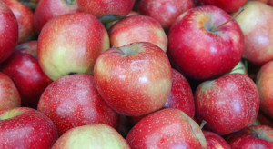 Mołdawia: Kolejny niski wynik w eksporcie jabłek
