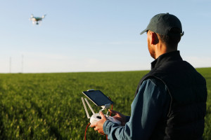Drony w rolnictwie- niezbędna przyszłość?