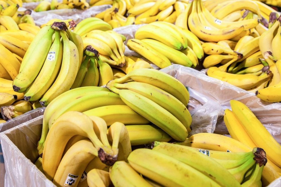 Warszawa:160 kg kokainy ukrytej w bananach