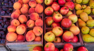 Credit Agricole: Niższe zbiory owoców będą sprzyjać wzrostowi cen