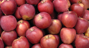Południowy Tyrol: jakie były ceny jabłek w maju?