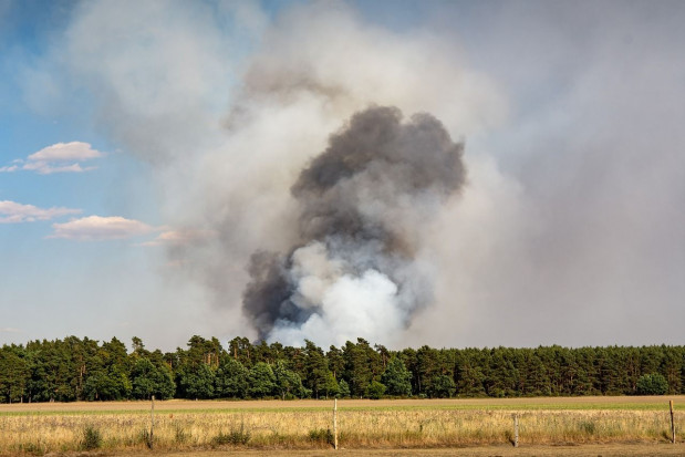 Duże zagrożenie pożarowe występuje w siedmiu województwach/ fot. pixabay IBL: duże zagrożenie pożarowe w siedmiu województwach