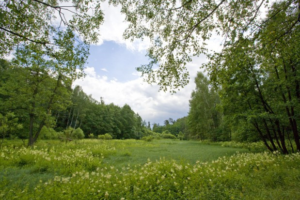 NIK: nieprawidłowości w dzierżawie gruntów rolnych w parkach narodowych/ fot. shutterstock.com NIK: nieprawidłowości w dzierżawie gruntów rolnych w parkach narodowych