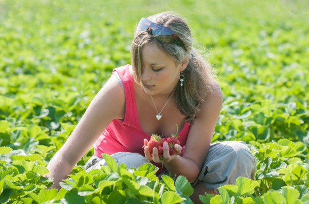 Pracodawcy poszukujący pracowników sezonowych mają duży problem; fot. shutterstock.com Coraz trudniej pozyskać pracowników do zbiorów owoców. Stawki rosną