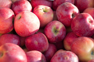 Rynek jabłek: Sprzedaż zagraniczna przebiega w wolnym tempie
