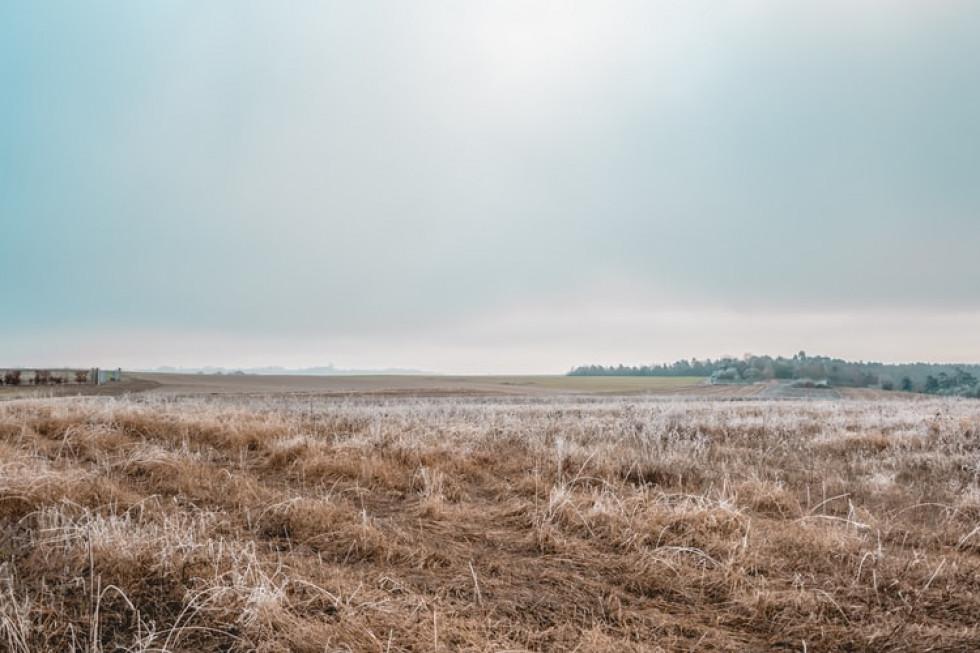 Zmiany klimatu jako zagrożenie postrzega 77 proc. Polaków/ fot. unsplash CBOS: 77 proc. Polaków dostrzega zmiany klimatu jako zagrożenie