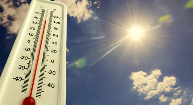 Tegoroczne rekordy temperatur zostały pobite/ fot. shutterstock IMGW: Kolejne tegoroczne rekordy temperatur pobite