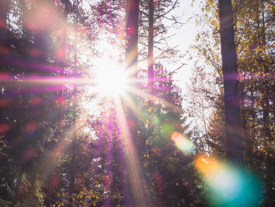 Do czwartku włącznie wciąż upały/ fot. unsplash IMGW: do czwartku jeszcze upalnie, w weekend chłodniej