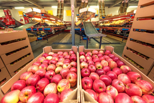 Obiekt Fruvitaland w Piotrawinie wystawiony na sprzedaż/ fot. shutterstock Obiekt grupy Fruvitaland w Piotrawinie wystawiony na sprzedaż
