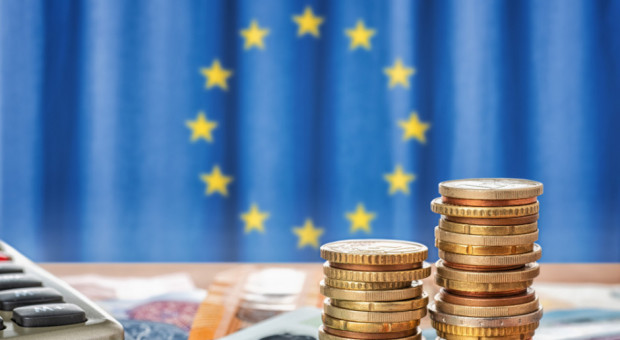 Ministrowie rolnictwa poparli porozumienie z PE w sprawie reformy Wspólnej Polityki Rolnej/ fot. shutterstock Ministrowie rolnictwa poparli porozumienie z PE ws. reformy WPR
