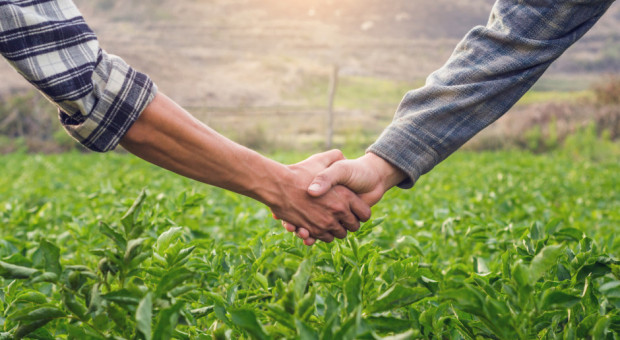 Rząd ma się zająć projektem ustawy o zmianie ustawy o grupach producentów rolnych/ fot. shutterstock Rząd ma zająć się nowelą dot. grup producentów rolnych
