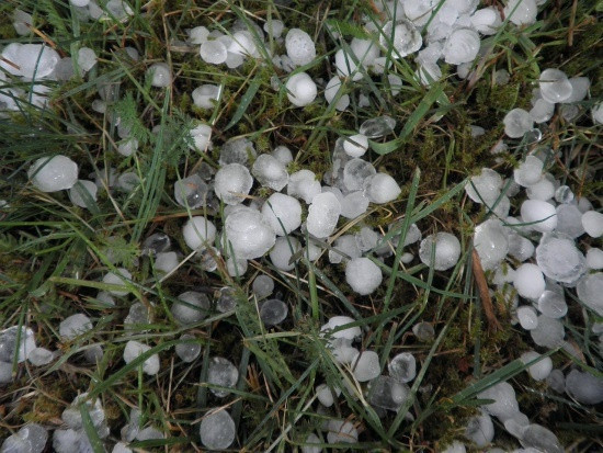 KRIR apeluje o wydłużenie terminu składania wniosków o pomoc klęskową/ fot.pixabay.com KRIR apeluje o wydłużenie terminu składania wniosków o pomoc klęskową