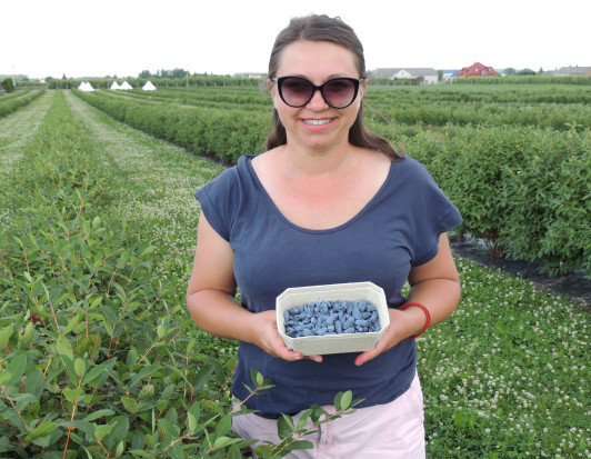 Anna Litwin, właścicielka plantacji jagody kamczackiej w Palczewie pod Warką/ fot. sadyogrody.pl Anna Litwin,Blue Haskap: Uprawa jagody kamczackiej to trudny kawałek chleba (wywiad)